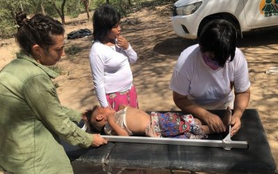 Morir de hambre y de sed: Ese es el riesgo de cada día de los chicos wichi de las comunidades de Salta